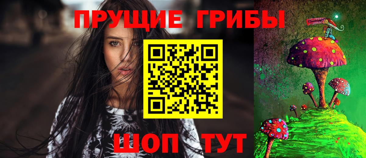 Кольчугино  Галлюциногенные грибы Psilocybine cubensis  Вход с VPN 